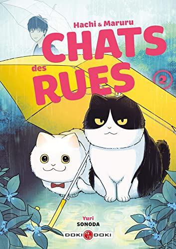 Hachi & Maruru - Chats des rues - vol. 02 von BAMBOO