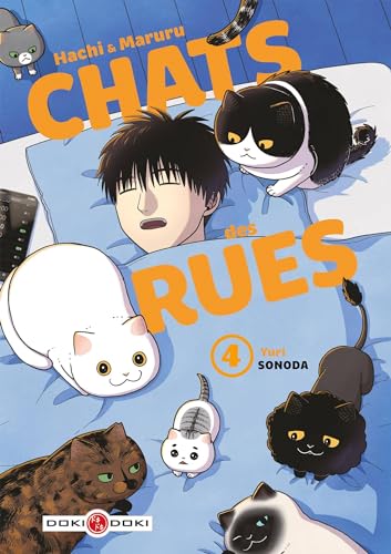 Hachi & Maruru - Chats des rues - vol. 04 von BAMBOO