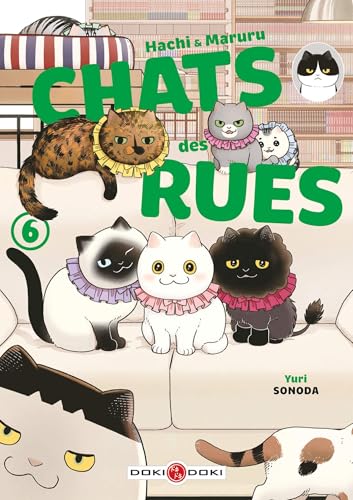 Hachi & Maruru - Chats des rues - vol. 06 von BAMBOO
