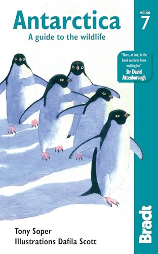 Antarctica: A Guide to the Wildlife (Bradt Wildlife Guide)