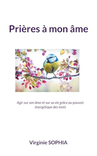 Prières à mon âme: Agir sur son âme et sur sa vie grâce au pouvoir énergétique des mots von Books on Demand