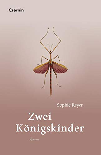 Zwei Königskinder: Roman