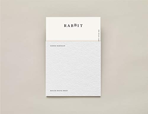Rabbit von Boiler House Press
