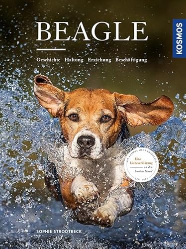 Beagle: Geschichte, Haltung, Erziehung, Beschäftigung