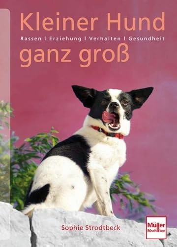 Kleiner Hund ganz groß: Rassen . Erziehung . Verhalten . Gesundheit von Mller Rschlikon