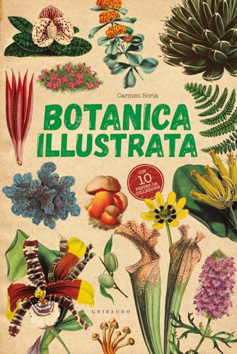 Botanica illustrata. Con 10 poster (Enciclopedia per ragazzi) von Gribaudo