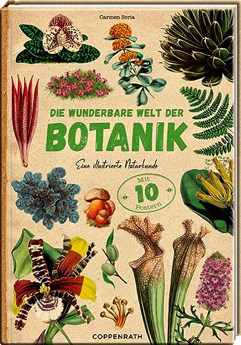 Die wunderbare Welt der Botanik: Eine illustrierte Naturkunde
