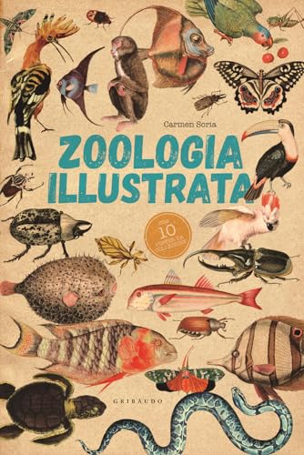Zoologia illustrata. Con 10 poster (Enciclopedia per ragazzi) von Gribaudo