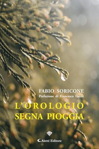 L'orologio segna pioggia (I diamanti) von Aletti editore