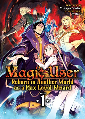 Magic User: Reborn in Another World as a Max Level Wizard (Light Novel) Vol. 1 von Seven Seas