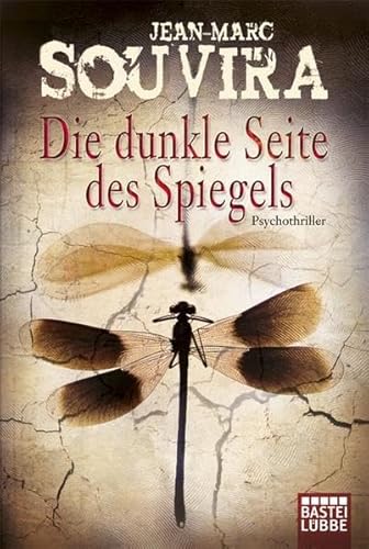 Die dunkle Seite des Spiegels: Thriller (Allgemeine Reihe. Bastei Lübbe Taschenbücher)