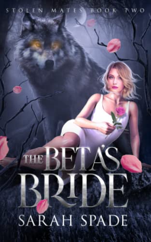 The Beta's Bride: A Rejected Mates Romance (Stolen Mates, Band 2)