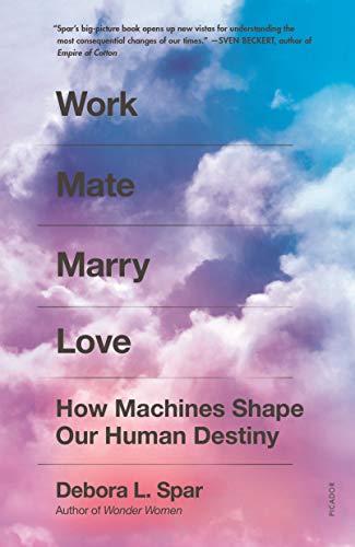 Work Mate Marry Love: How Machines Shape Our Human Destiny von Picador USA