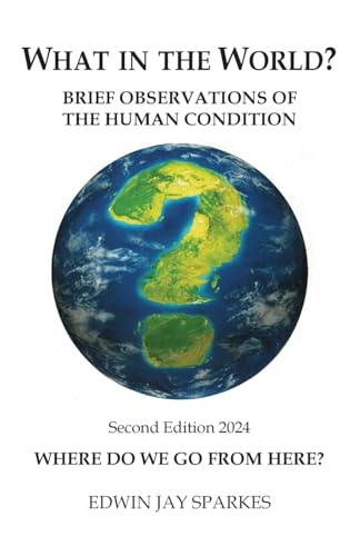 What in the World?: Brief Observations of the Human Condition von Grosvenor House Publishing Limited