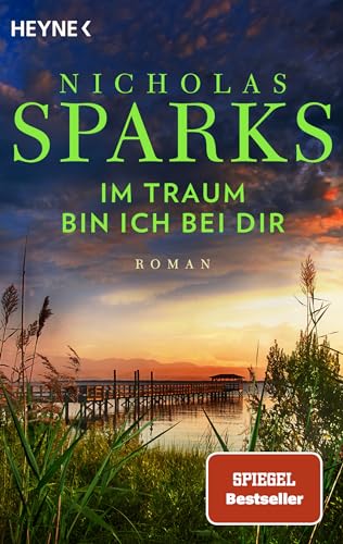 Im Traum bin ich bei dir: Roman von Heyne Verlag