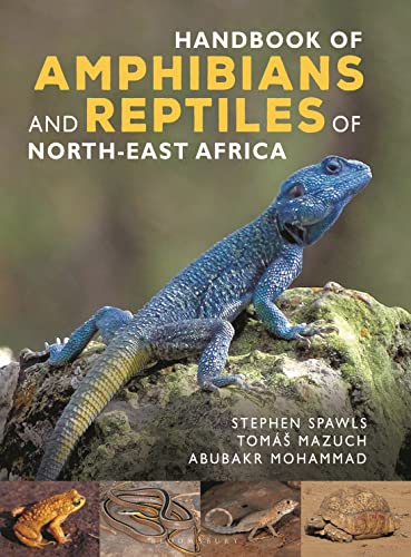 Handbook of Amphibians and Reptiles of North-east Africa von Bloomsbury Wildlife