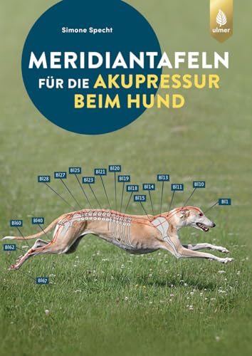 Meridiantafeln für die Akupressur beim Hund von Verlag Eugen Ulmer