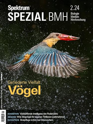 Spektrum Spezial BMH 2/2024 - Vögel: Gefiederte Vielfalt (Spektrum Spezial - Biologie, Medizin, Hirnforschung)