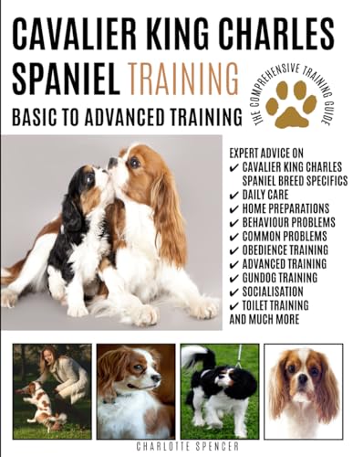 CAVALIER KING CHARLES SPANIEL TRAINING: Basic to Advanced Training: The Comprehensive Training Guide von PET EDUCATION PUBLISHING