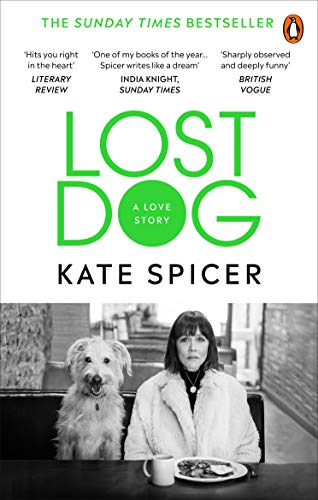 Lost Dog: A Love Story von Ebury Press