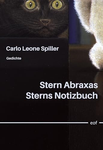 Stern Abraxas Sterns Notizbuch: Gedichte (edition offenes feld)