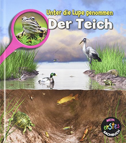 Der Teich: Unter die Lupe genommen (CORONA Sachbücher)