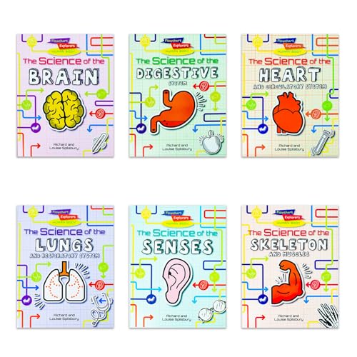 Flowchart Explorers Human Body STEM 6 Science Books Set: (Brain, Digestive, Heart, Lungs, Senses, Skeleton) von Fox Eye Publishing