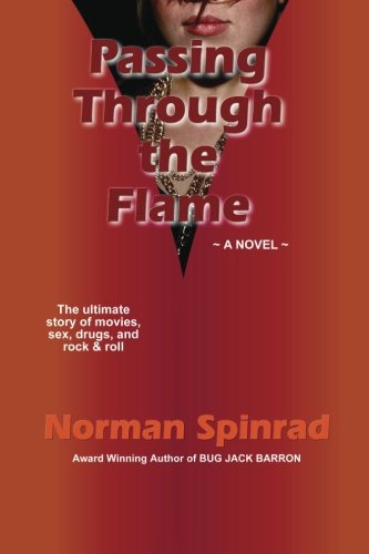 Passing Through the Flame von CreateSpace Independent Publishing Platform
