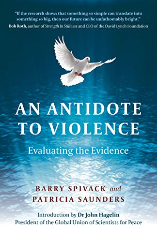 An Antidote to Violence: Evaluating the Evidence von Changemakers Books