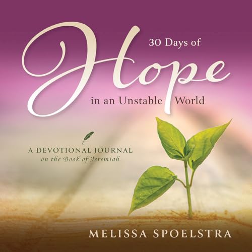 30 Days of Hope in an Unstable World: A Devotional Journal on the Book of Jeremiah von Abingdon Press