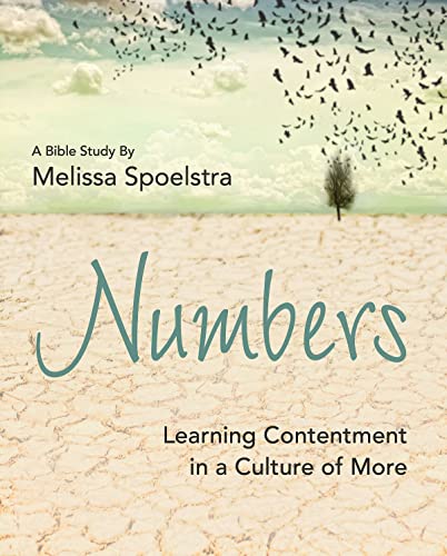 Numbers - Women's Bible Study Participant Workbook: Learning Contentment in a Culture of More von Abingdon Press