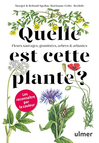 Quelle est cette plante ? von Ulmer