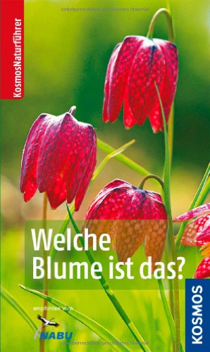 Welche Blume ist das?