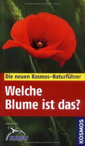 Welche Blume ist das?