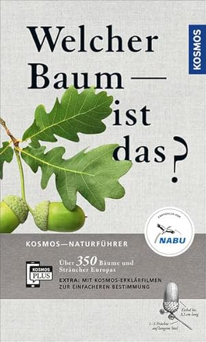 Welcher Baum ist das? Welcher Baum ist das?