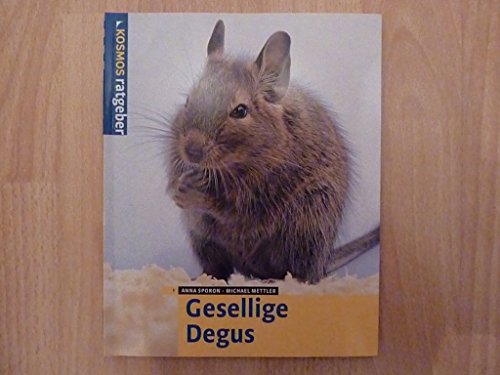 Gesellige Degus