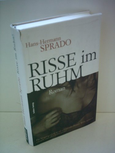 Risse im Ruhm: Roman (Subkutan)