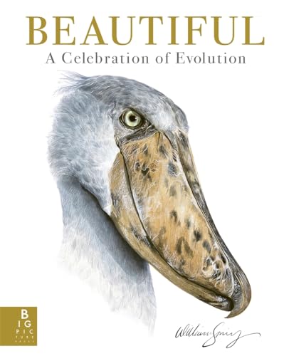 Beautiful: A Celebration of Evolution von Big Picture Press