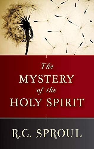 The Mystery of the Holy Spirit von Christian Focus Publications