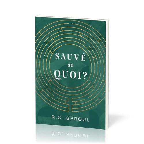 Sauvé de quoi ? von Éditions Impact