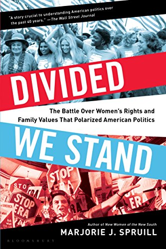 Divided We Stand: The Battle Over Women's Rights and Family Values That Polarized American Politics von Bloomsbury