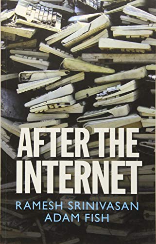 After the Internet (Digital Futures) von Polity