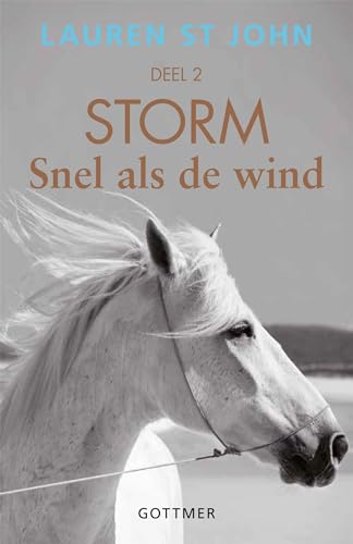 2 (Storm-serie, 2) von Gottmer