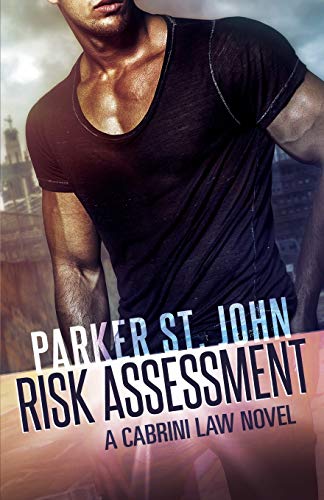 Risk Assessment: A Cabrini Law Novel von Independently Published