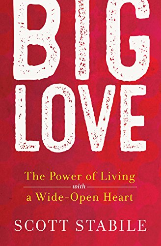 Big Love: The Power of Living with a Wide-Open Heart von New World Library