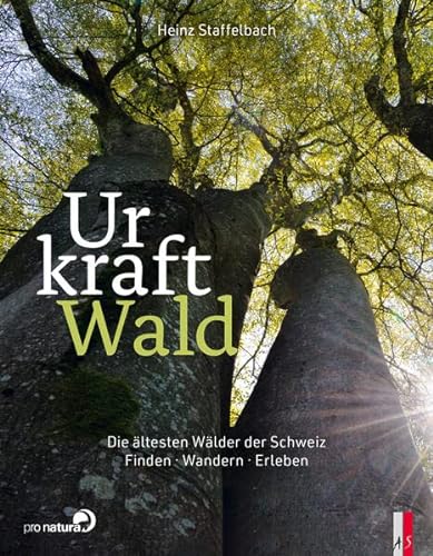 Urkraft Wald: Die ältesten Wälder der Schweiz. Finden – Wandern – Erleben