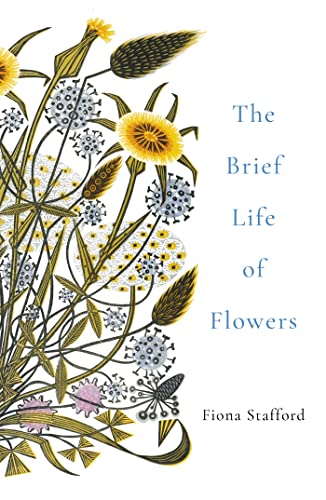 The Brief Life of Flowers von John Murray