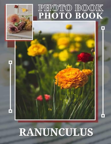 Ranunculus Photo Book: Stunning Collection Of 40 Colorful Blooming Flowers For Garden Lovers And Nature Enthusiasts von Independently published