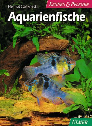 Aquarienfische