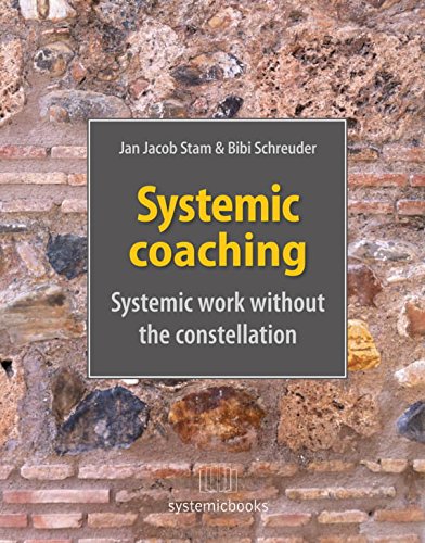 Systemic coaching: Systemic work without the constellation von Noorderlicht, Het